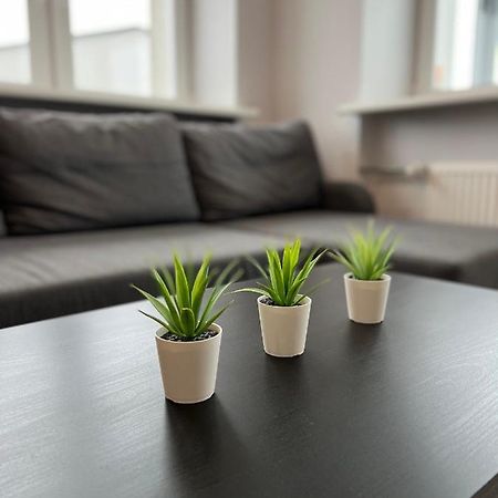 Akmene Center Apartment Naujoji Akmene المظهر الخارجي الصورة