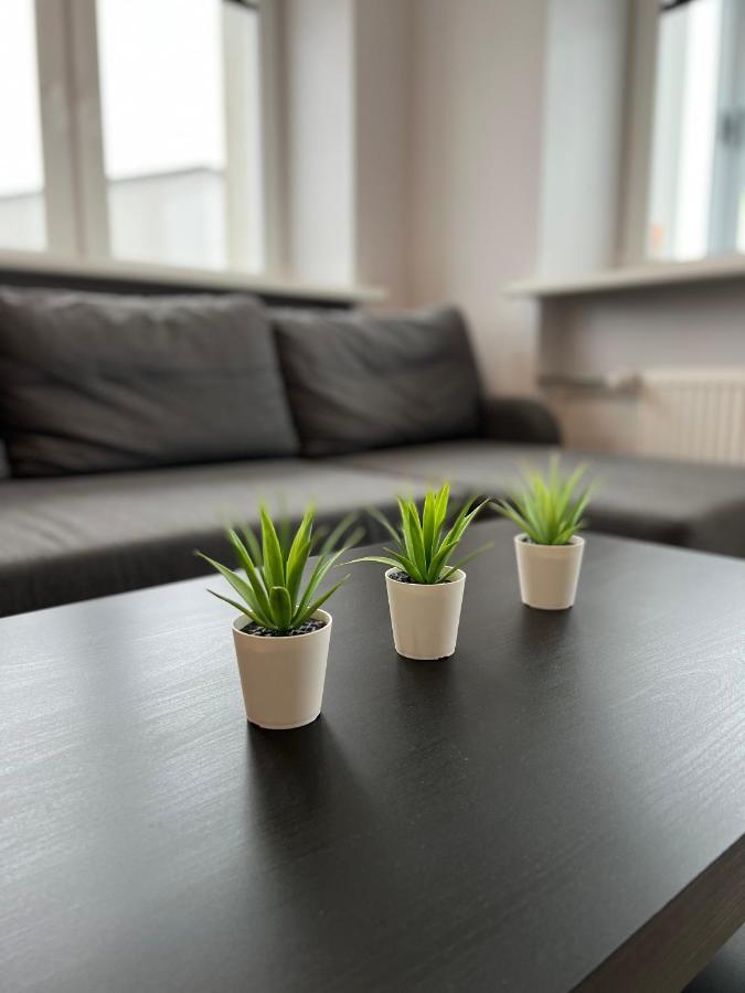 Akmene Center Apartment Naujoji Akmene المظهر الخارجي الصورة